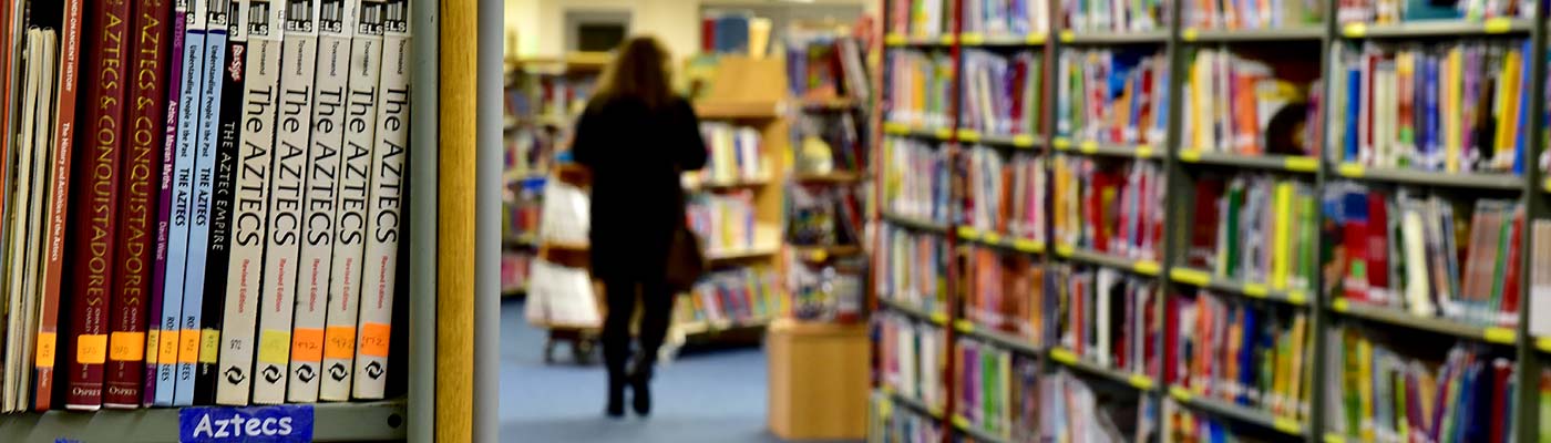 Education Library Service books