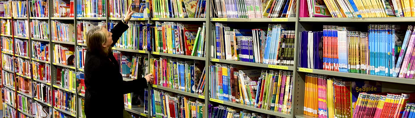 Primary School stock books