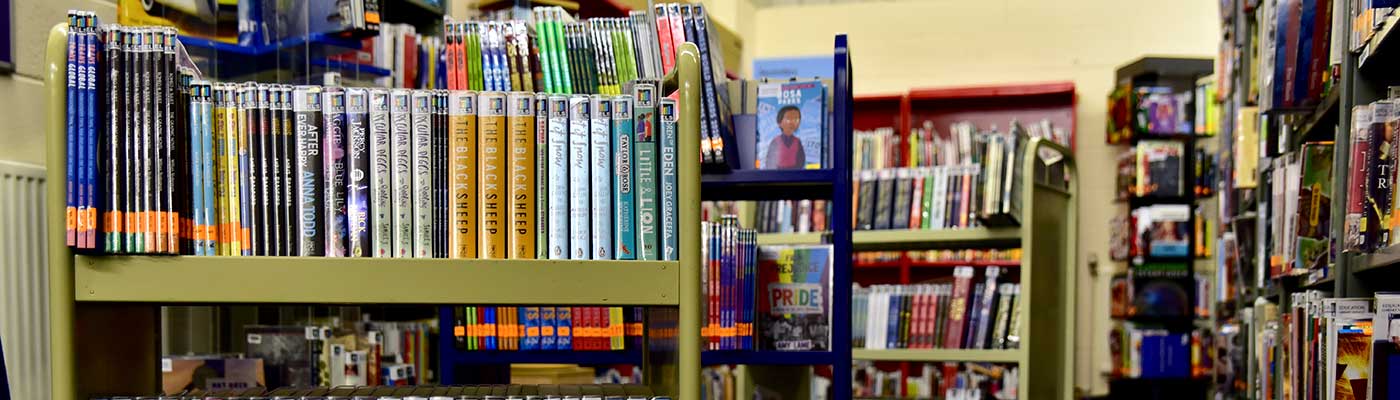Secondary School stock books